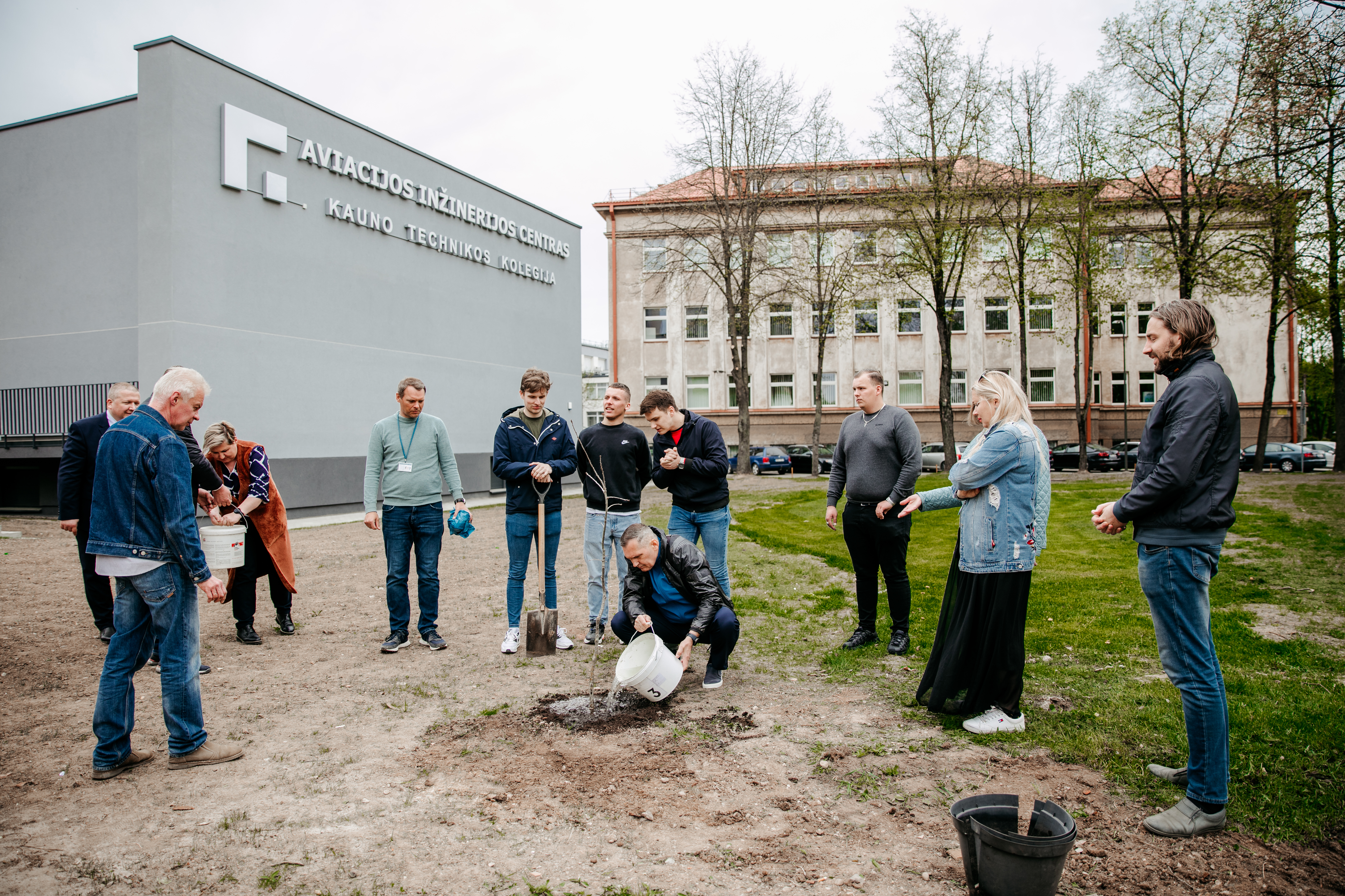 Pasodinti prezidento dovanoti ąžuolai